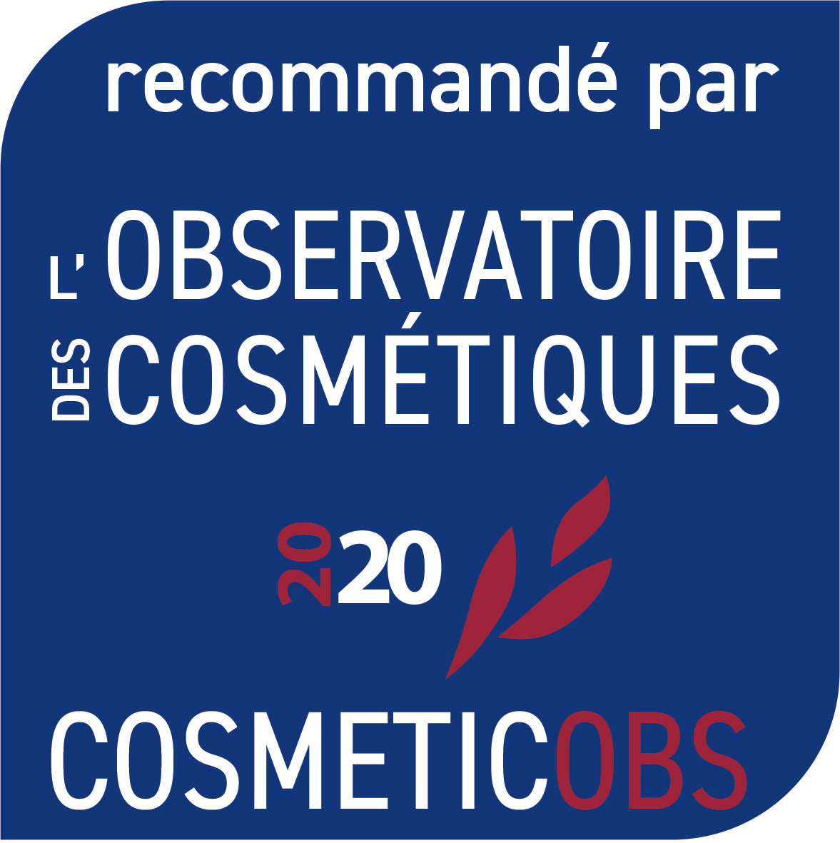 FRIZOUILLES & COMPAGNIES -  Shampooing Démêlant BIO pour Enfants